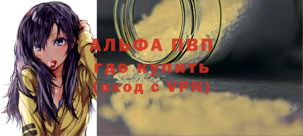стаф Балахна