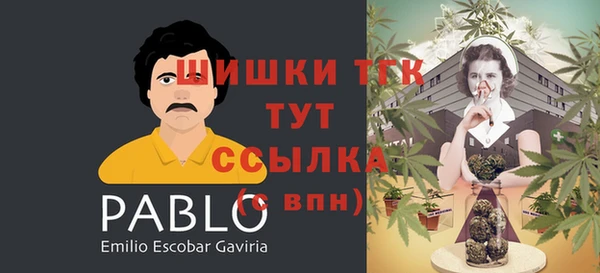 стаф Балахна