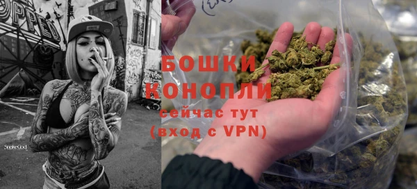 стаф Балахна